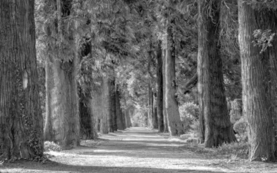 Pensa all’ambiente